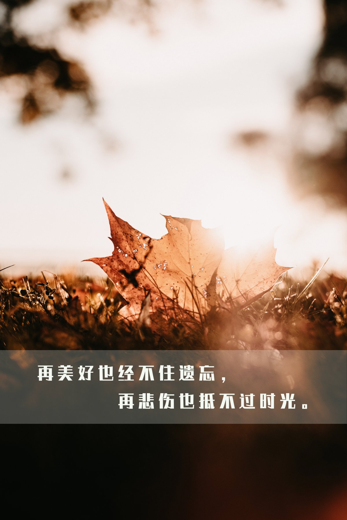 ⾳ĴͼƬ