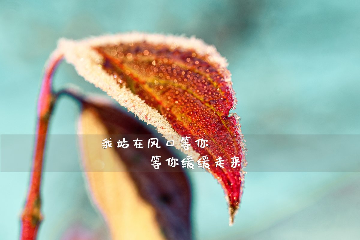 С·ͼƬ