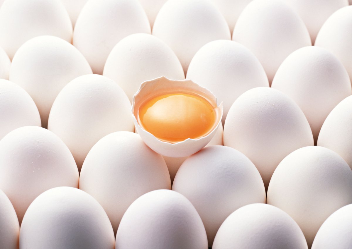 ʳʳͼƬ