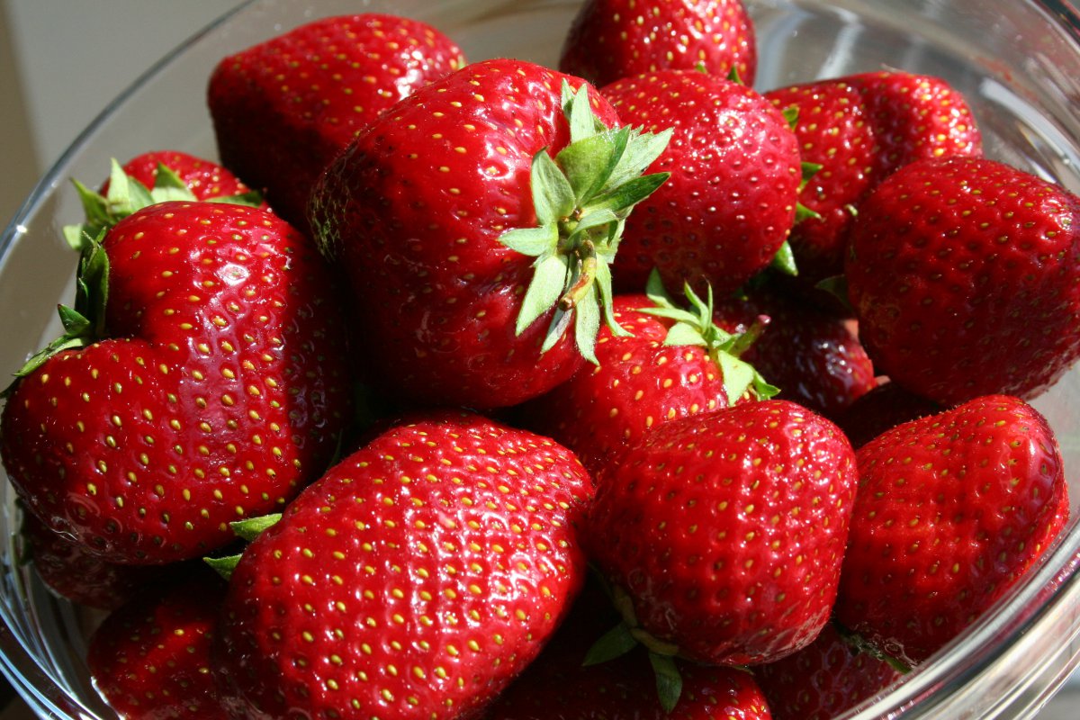 ζɿںɫĲݮͼƬ