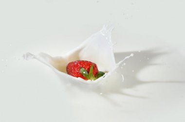 ţ̵ĲݮͼƬ