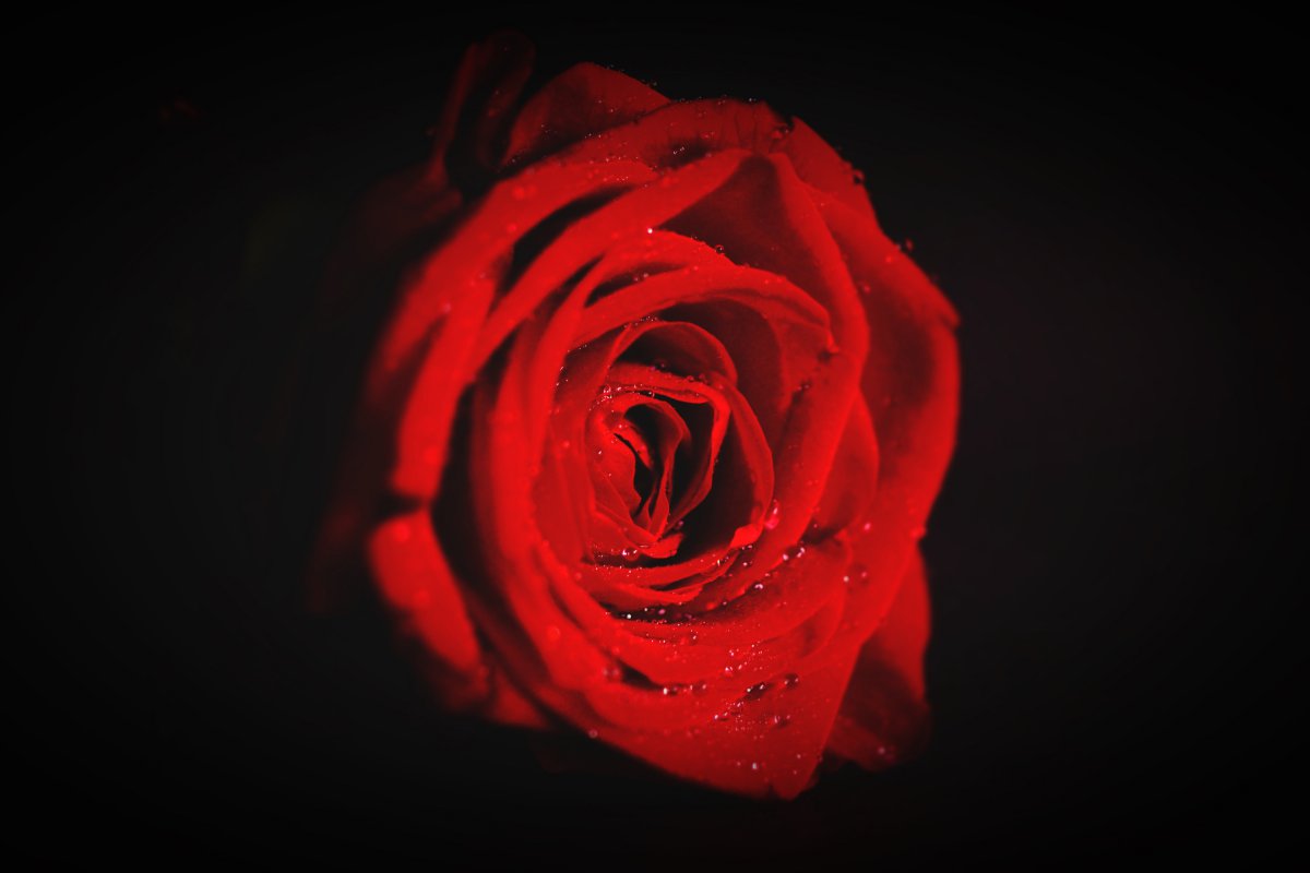 ʺõ廨ͼƬ
