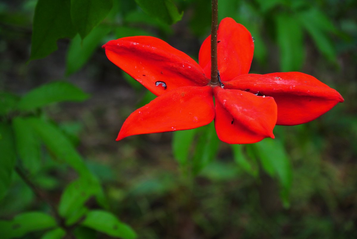 ǻͼƬ