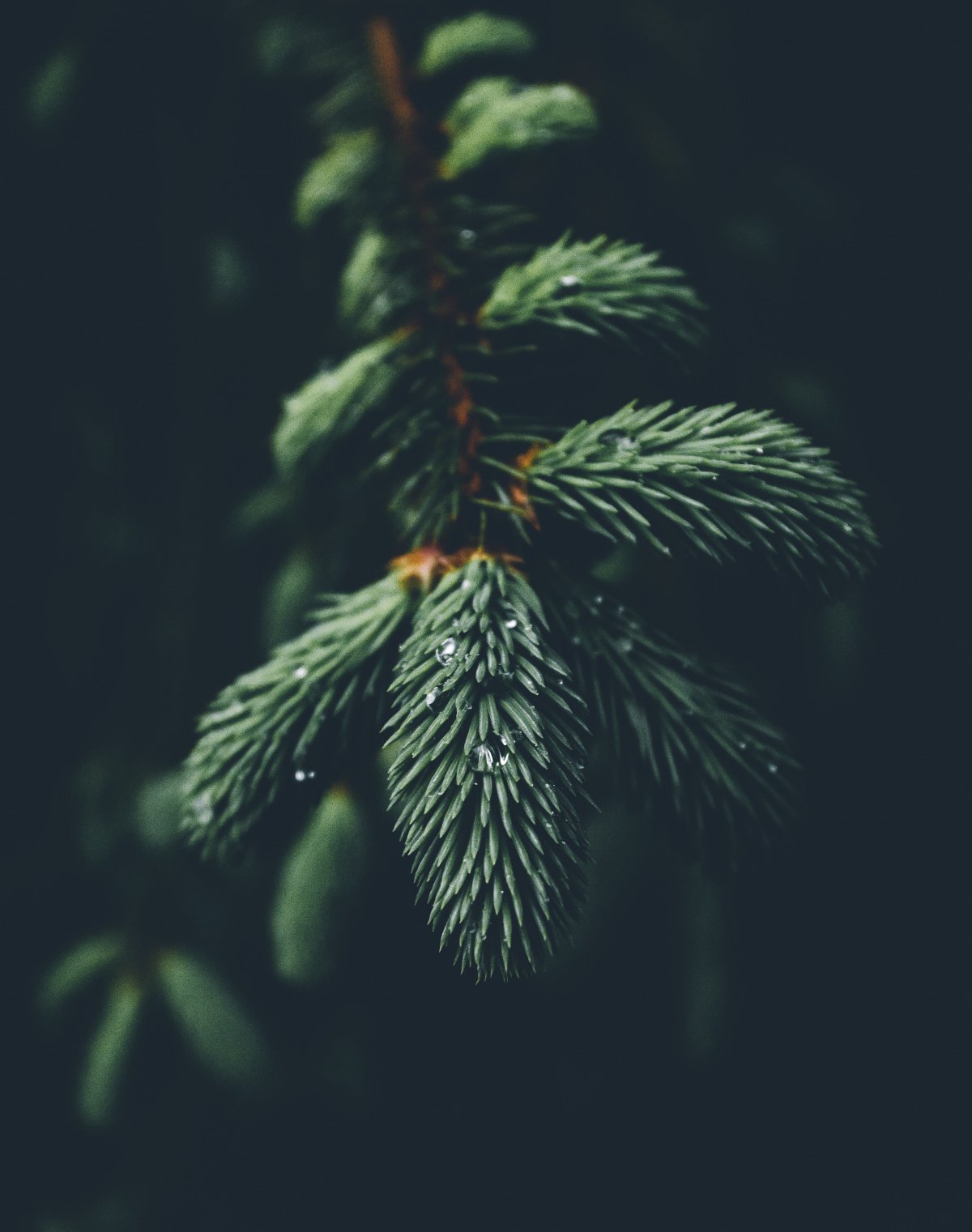 ֦ͷͼƬ