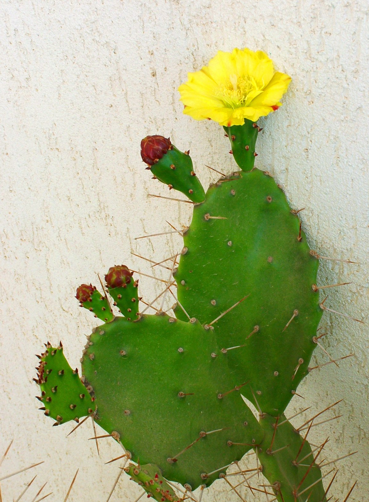 дͼƬ