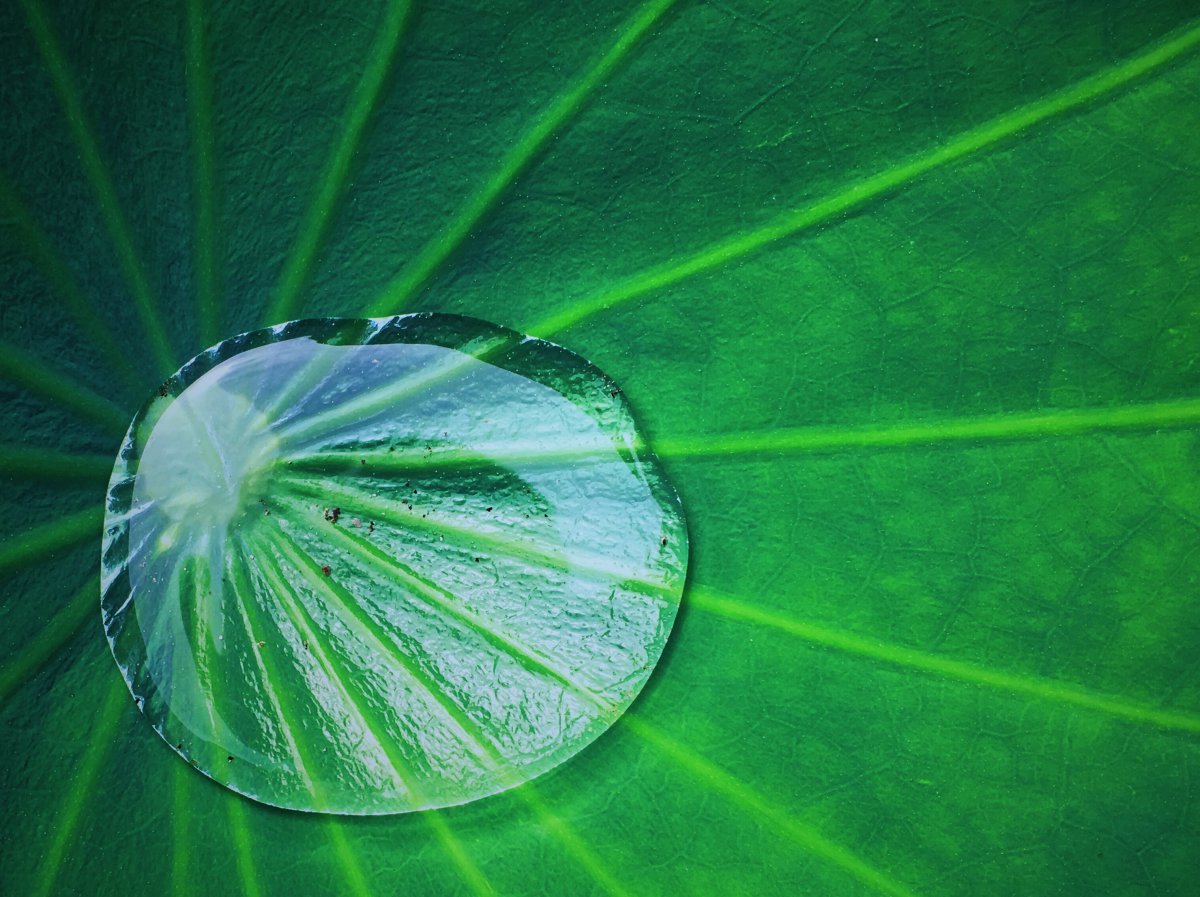 ̱ҶͼƬ