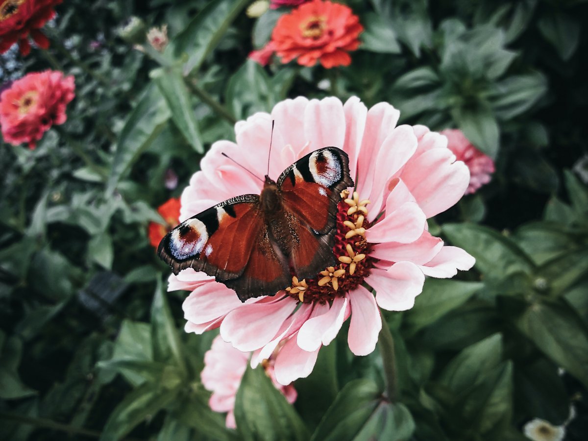 ɫջϵĺͼƬ