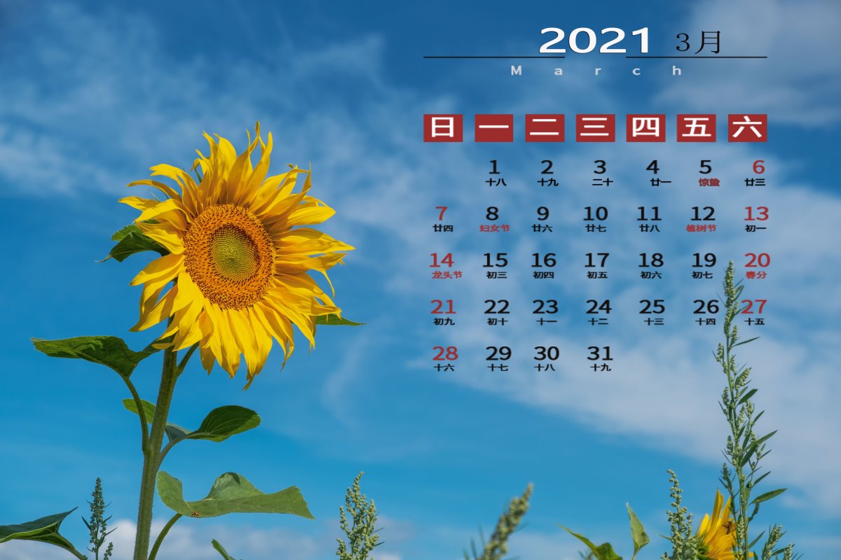 20213ͼƬ