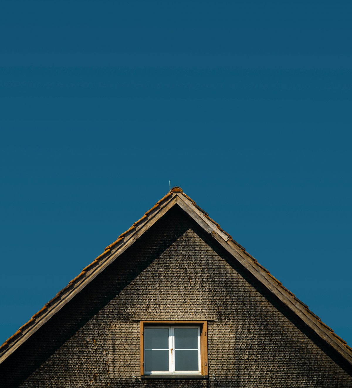 ɫͼƬ