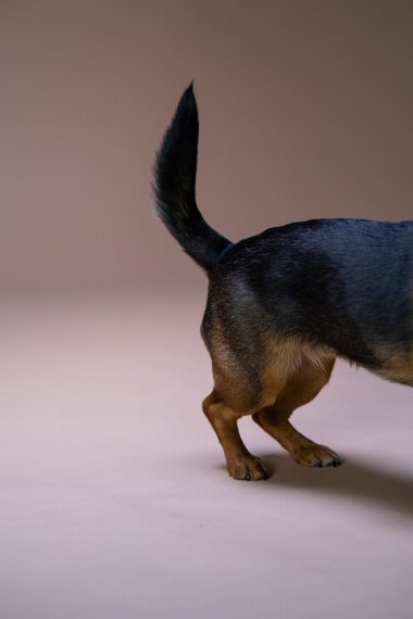 űȮβдͼƬ