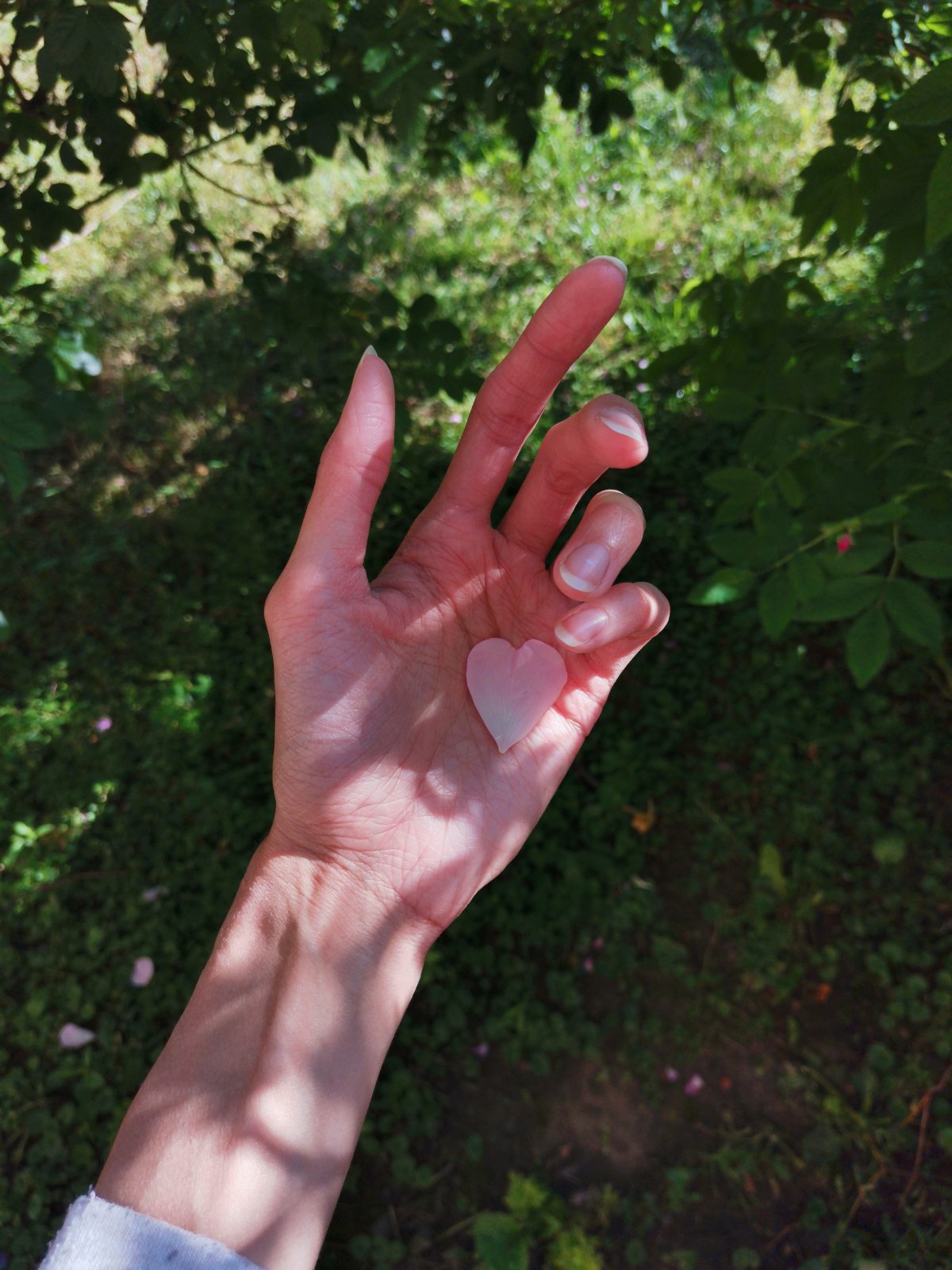 λͼƬ