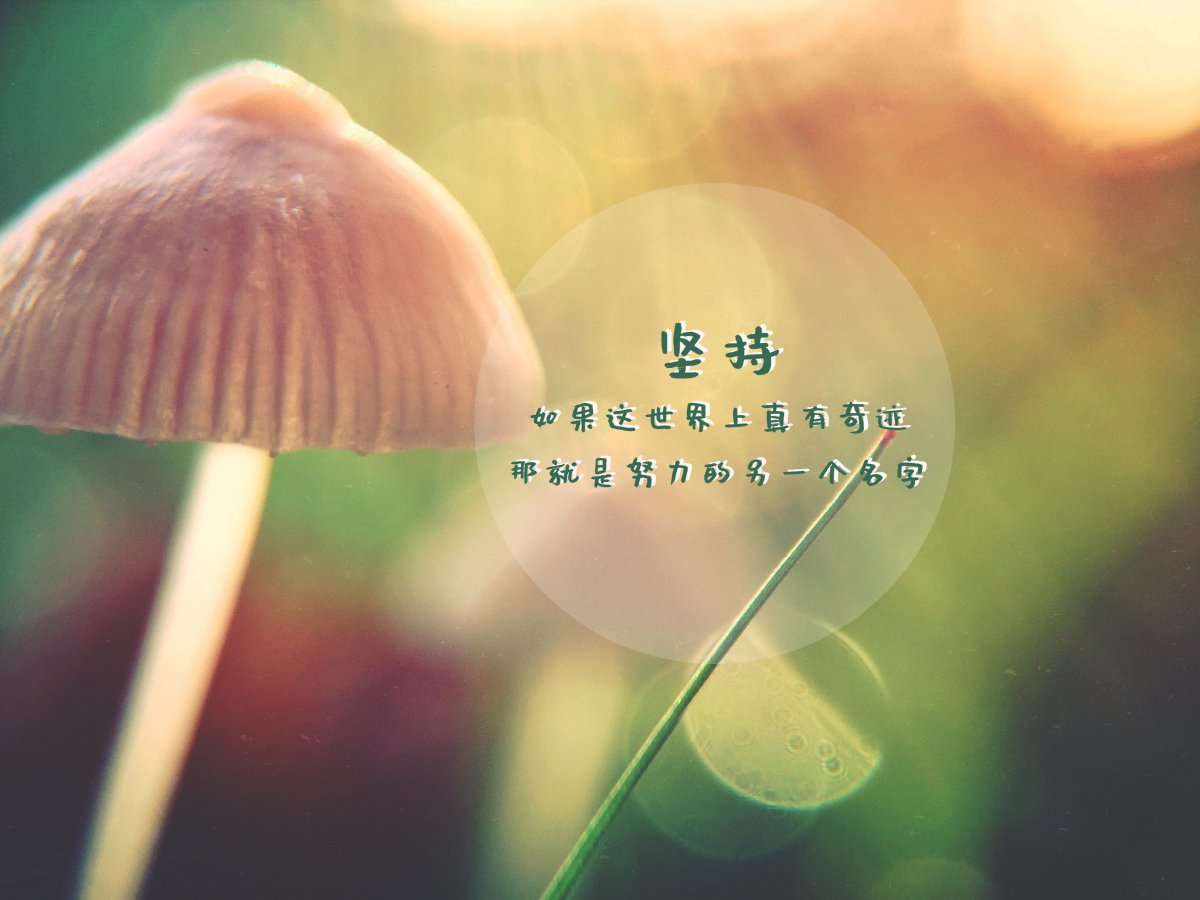ڼֵͼƬ