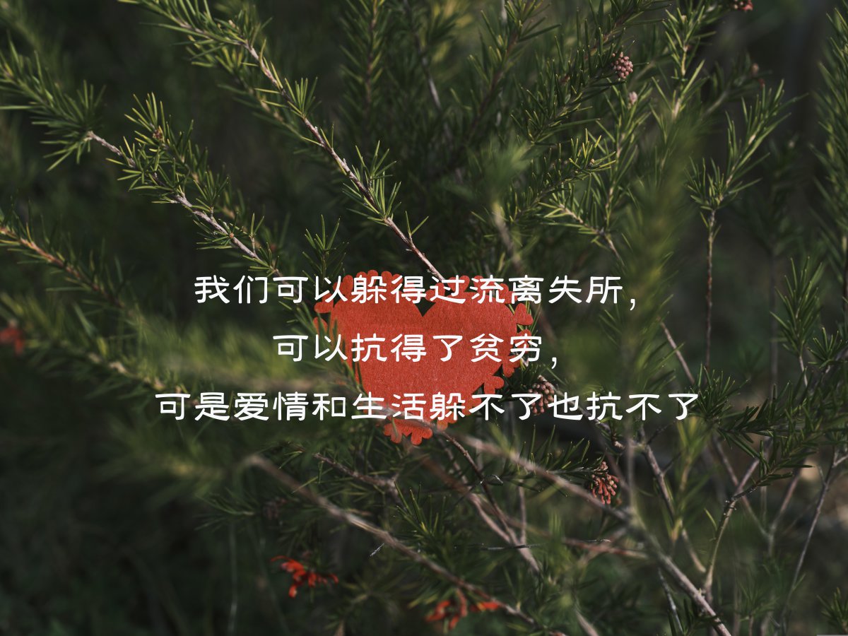ͼƬ
