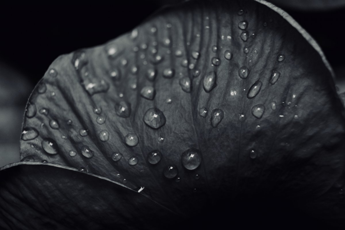 ڰ׻ˮӰͼƬ