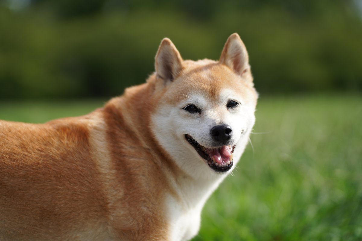 ɰձȮͼƬ
