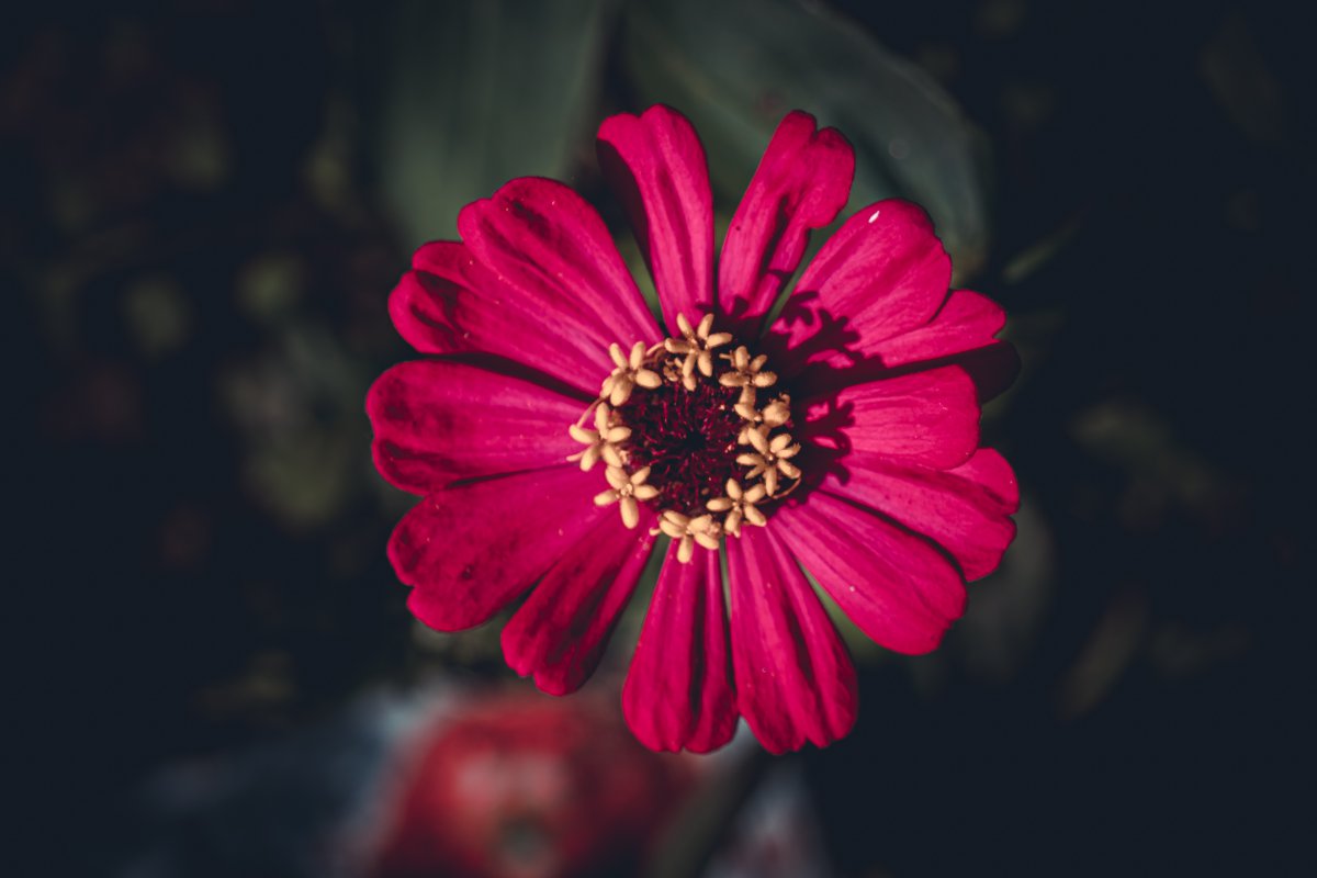 ˹΢дӰͼƬ