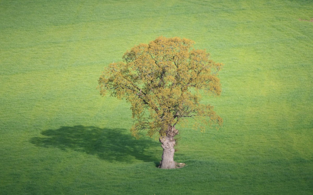 ɫݵľͼƬ