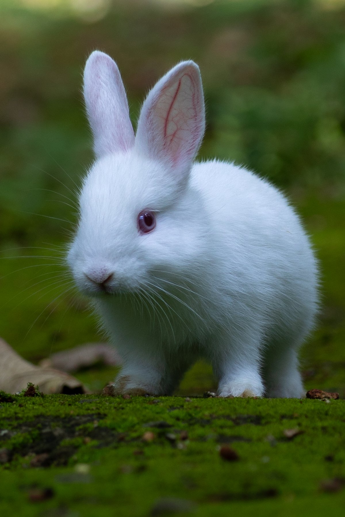 ɰɫдͼƬ