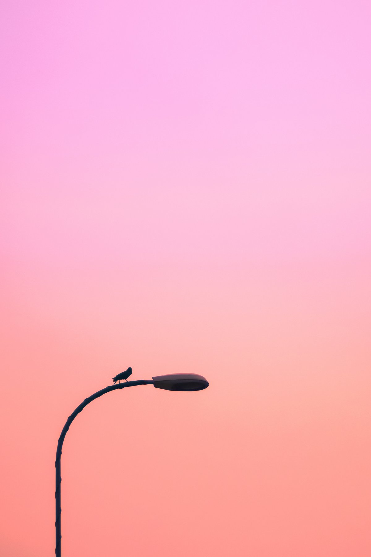 ƻ·ӰͼƬ