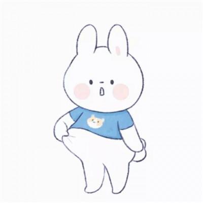 ΢¿ɰͨͷ񣬹