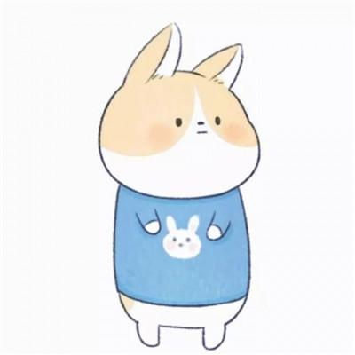 ΢¿ɰͨͷ񣬹