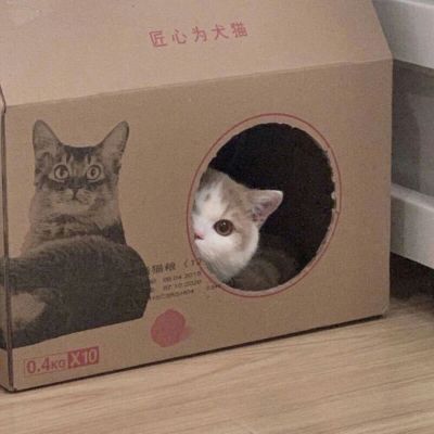ɰ΢ͷèˡﾫѡͼ