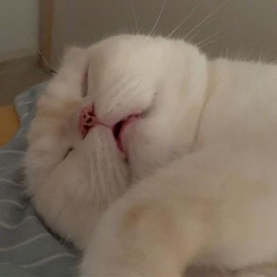 ɰ΢ͷèˡﾫѡͼ