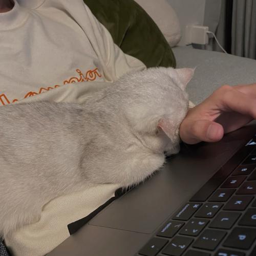 qqͷͼƬ