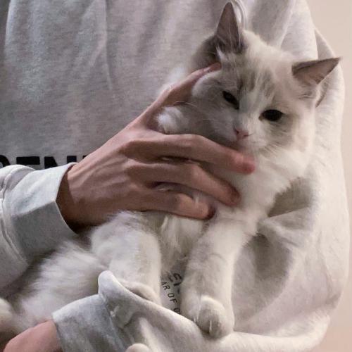 ˧ͷͼƬ