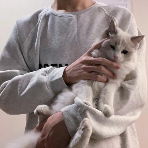 ˧ͷͼƬ