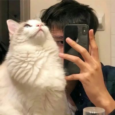 ÿͷ˰ͼƬ