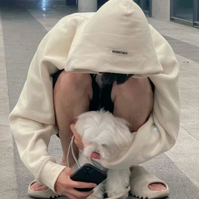 insշԼͷ