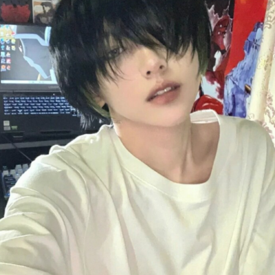 ͷ˸