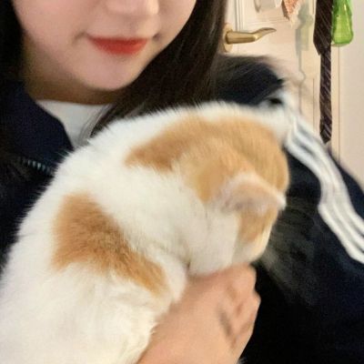 ÿͷر𾭵컻ϰ
