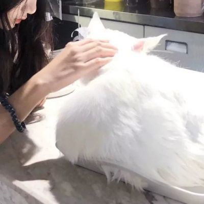 ÿͷر𾭵컻ϰ
