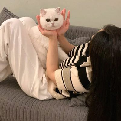 qqͷһԺÿ