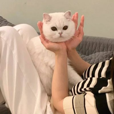 qqͷһԺÿ