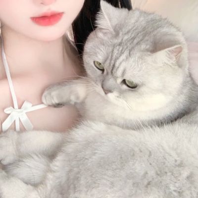 ˫ͷͼƬ
