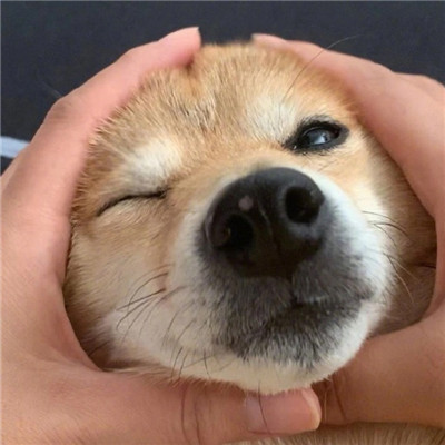 winkɰĸͷ