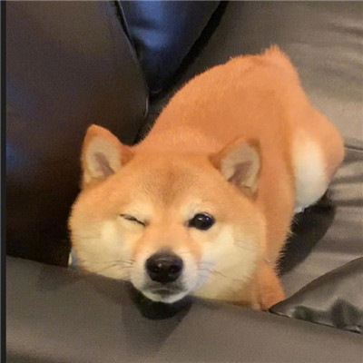 winkɰĸͷ