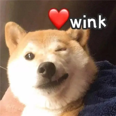 winkɰĸͷ