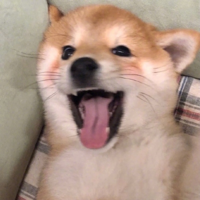 2021Ц˵ĺܻȳ趯ͷϼ