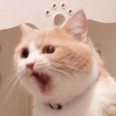 2021Ц˵ĺܻȳ趯ͷϼ
