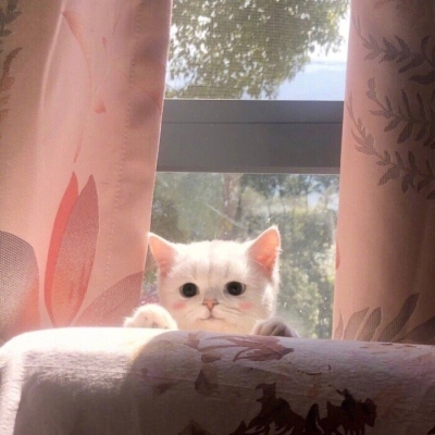 2021Ц˵ĺܻȳ趯ͷϼ