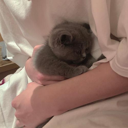 ͷͼƬ