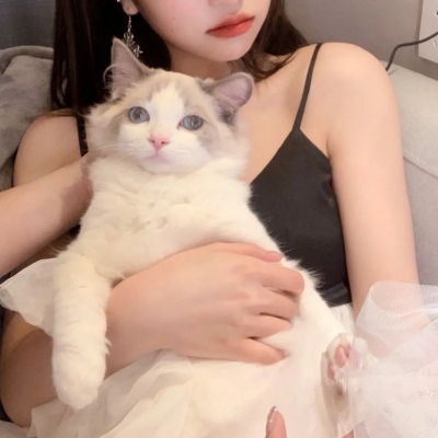 /ͷ