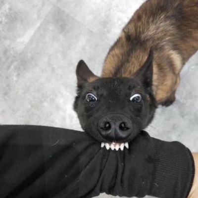 ͷִһ,峬ɰͷһͼƬ