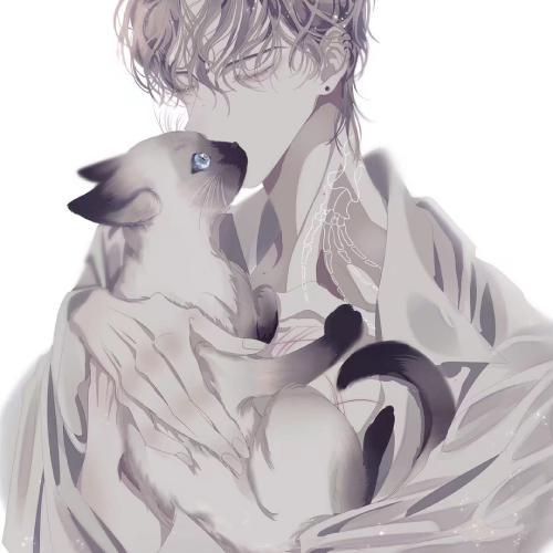 ÿ۵΢ͷ˧ͼƬ