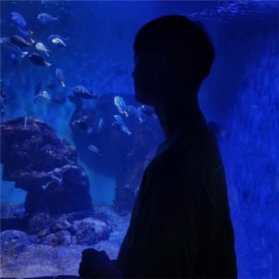 ⾳ͷһһ