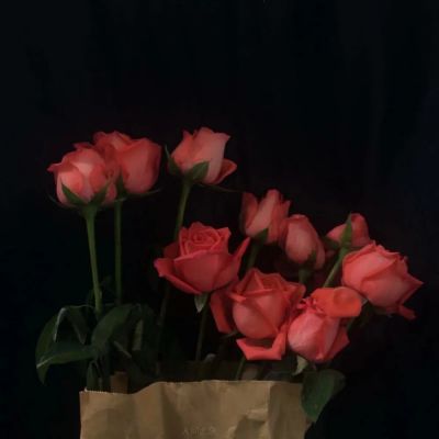 ˵ĺʫķ羰ͷͼƬ